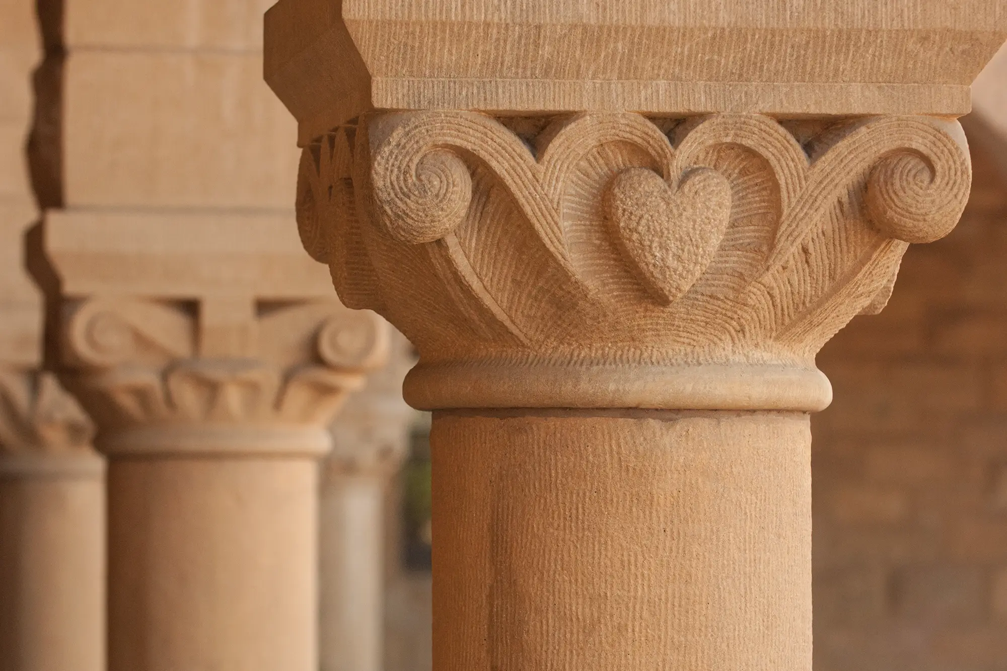 up close view of pillars