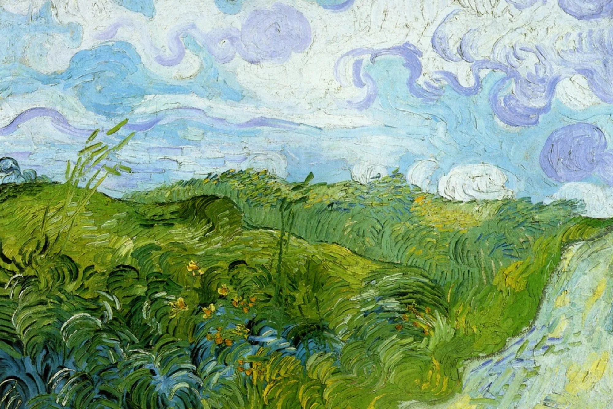 A vibrant oil painting by Vincent van Gogh titled Wheatfield with Crows, depicting a lush green wheat field under a swirling, cloudy blue sky. A winding dirt path cuts through the field and disappears into the horizon. Dark crows are scattered across the sky, adding a sense of movement and intensity to the scene. The bold, textured brushstrokes and vivid colors convey a sense of turmoil and emotional depth.