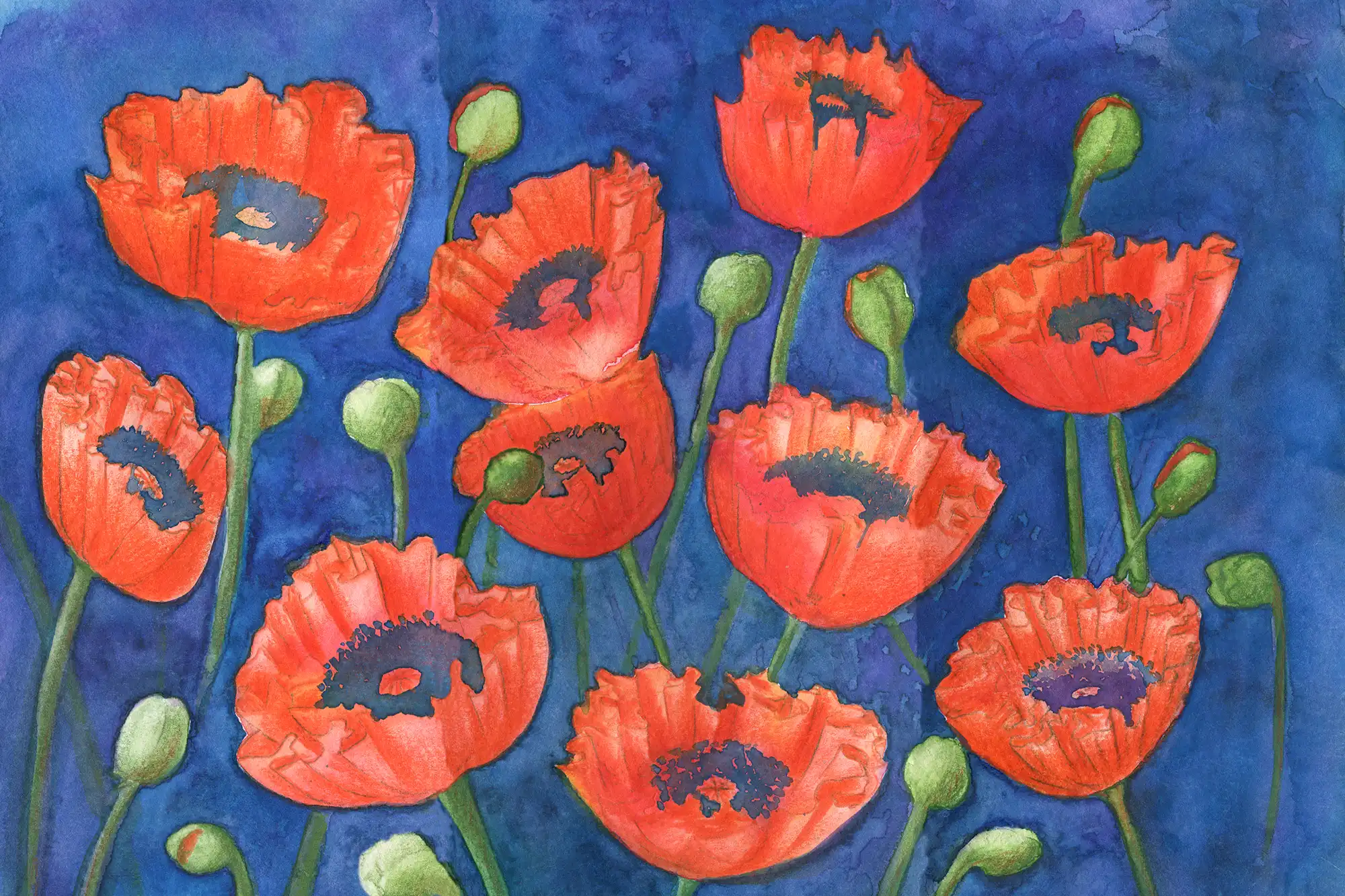 A vibrant watercolor painting of bright red poppies with dark centers and green buds. The flowers are set against a deep blue, textured background with visible brushstrokes and ink outlines.